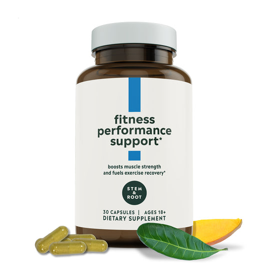 Fitness Performance Support