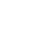 Stem & Root